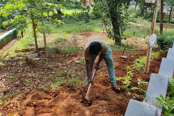 parisara man digging ground to plant saplings