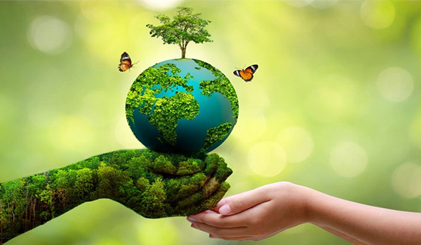 parisara natures hand