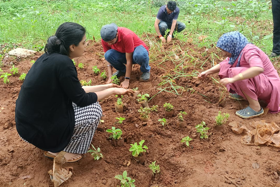 parisara sapling plantation