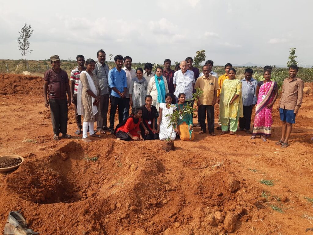 LRC Kodikonda Horticulture Plantation-1