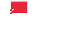 Youth received livelihood training, 67% placed