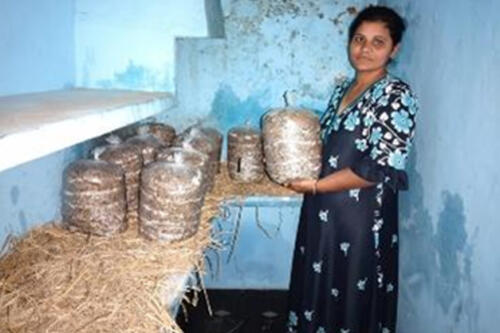 IG Activity 2(Mushroom Cultivation)-2