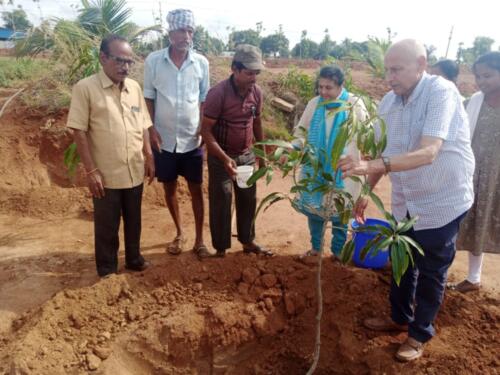 LRC Kodikonda Horticulture Plantation-2