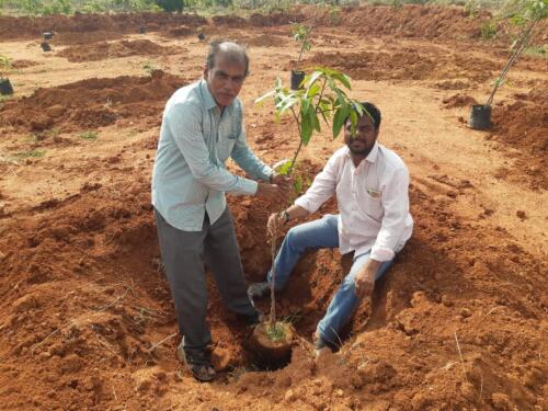 LRC Kodikonda Horticulture Plantation-3