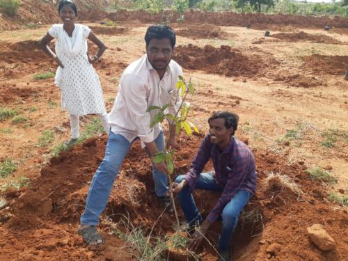 LRC Kodikonda Horticulture Plantation-5