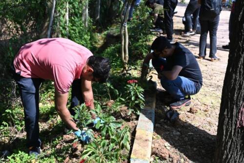 Our Parisara Team joined forces with o9 Solutions Management India Pvt Ltd for an incredible environmental initiative-3