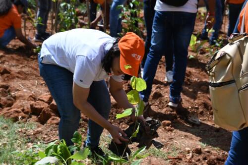 TE Connectivity has partnered with Samarthanam Trust to celebrate World Environment Day-5
