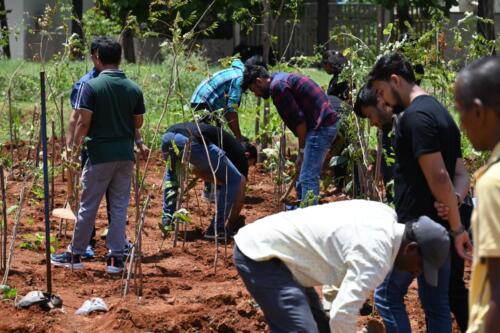o9 Solutions, in partnership with Samarthanam Trust, took a step towards a greener tomorrow-5